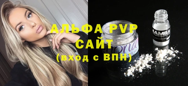 гашик Белокуриха