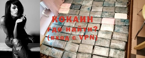 гашик Белокуриха