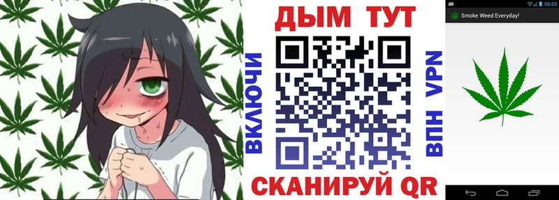 где купить наркоту Полесск Конопля конопля